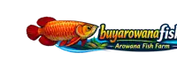 Arowana Fish Farm