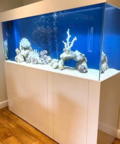 Large aquariums for sale